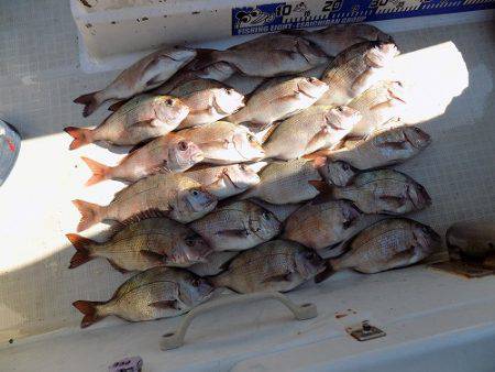 フィッシングボート空風(そらかぜ) 釣果