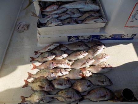 フィッシングボート空風(そらかぜ) 釣果