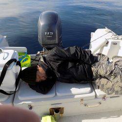 フィッシングボート空風(そらかぜ) 釣果