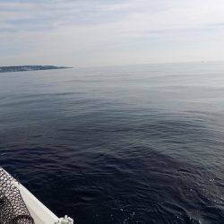 フィッシングボート空風(そらかぜ) 釣果