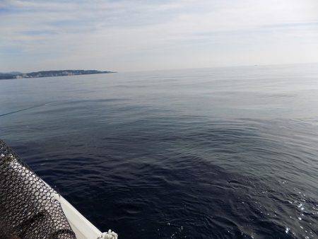 フィッシングボート空風(そらかぜ) 釣果