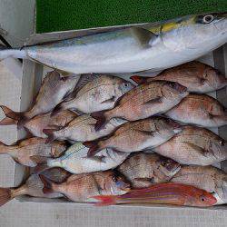 フィッシングボート空風 釣果