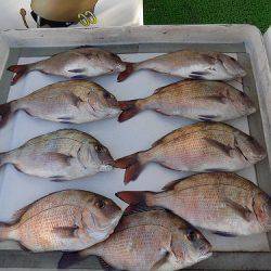 フィッシングボート空風(そらかぜ) 釣果