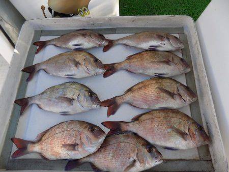 フィッシングボート空風（そらかぜ） 釣果