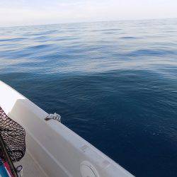 フィッシングボート空風 釣果