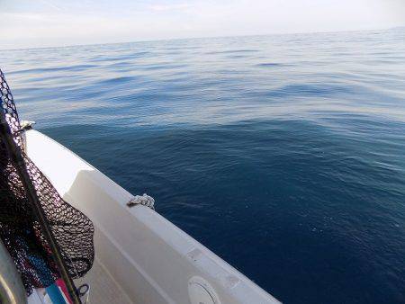 フィッシングボート空風 釣果