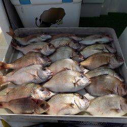 フィッシングボート空風 釣果