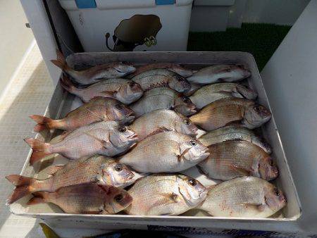 フィッシングボート空風 釣果