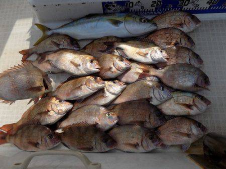 フィッシングボート空風 釣果