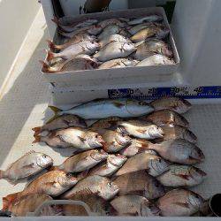 フィッシングボート空風 釣果