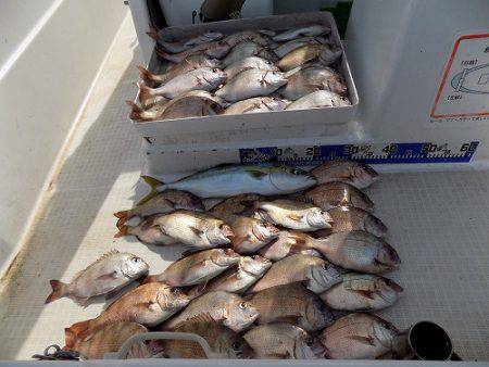 フィッシングボート空風 釣果