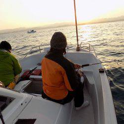 フィッシングボート空風 釣果