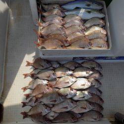 フィッシングボート空風(そらかぜ) 釣果