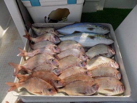 フィッシングボート空風 釣果