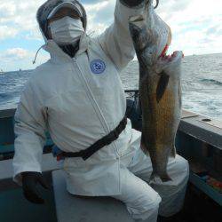 大進丸（愛知） 釣果