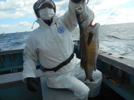 大進丸（愛知） 釣果