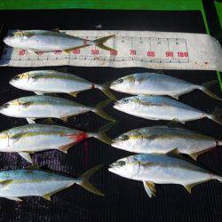 海宝丸　島根 釣果