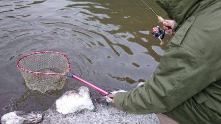 フィッシングエリア帝釈 釣果