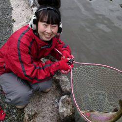 フィッシングエリア帝釈 釣果