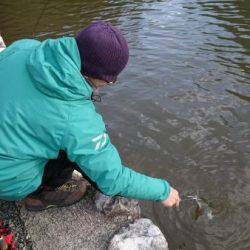 フィッシングエリア帝釈 釣果