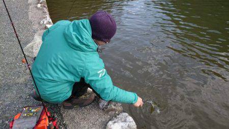 フィッシングエリア帝釈 釣果