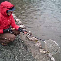 フィッシングエリア帝釈 釣果