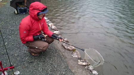 フィッシングエリア帝釈 釣果
