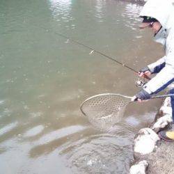 フィッシングエリア帝釈 釣果