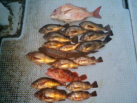 第二常豊丸 釣果