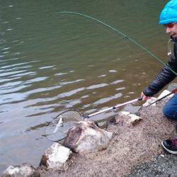 フィッシングエリア帝釈 釣果