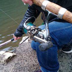 フィッシングエリア帝釈 釣果