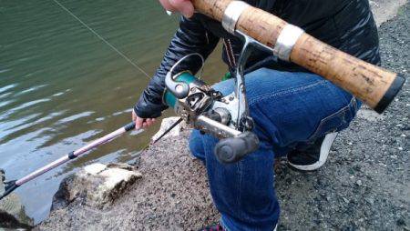 フィッシングエリア帝釈 釣果