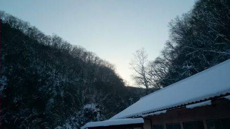 フィッシングエリア帝釈 釣果