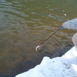 フィッシングエリア帝釈 釣果