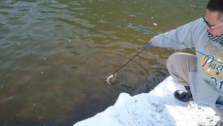 フィッシングエリア帝釈 釣果