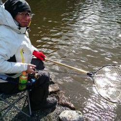 フィッシングエリア帝釈 釣果