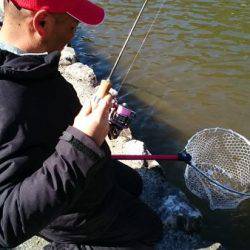 フィッシングエリア帝釈 釣果