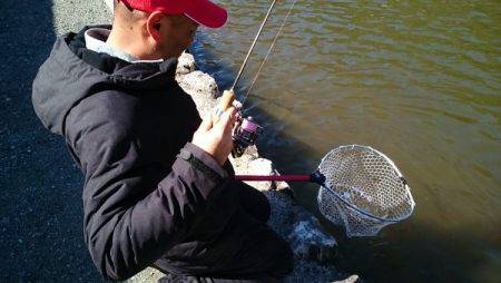 フィッシングエリア帝釈 釣果