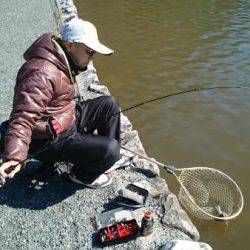 フィッシングエリア帝釈 釣果