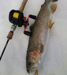 会津大川（会津非出資漁業協同組合） 釣果