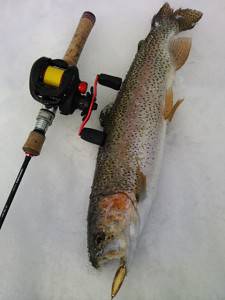 会津大川（会津非出資漁業協同組合） 釣果