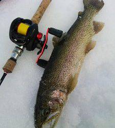 会津大川（会津非出資漁業協同組合） 釣果