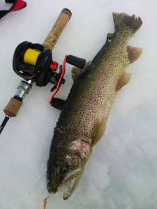 会津大川（会津非出資漁業協同組合） 釣果