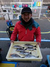 和歌山マリーナシティ釣り公園 釣果