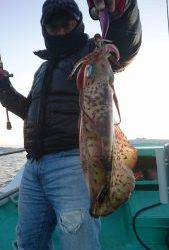 愛海丸 釣果