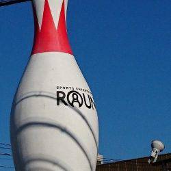 フィッシングボートACE(エース) 釣果