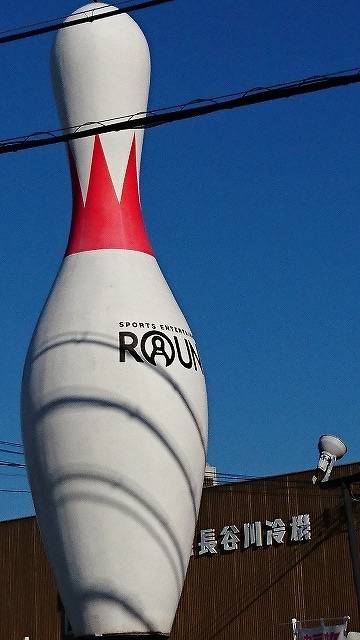 フィッシングボートACE(エース) 釣果