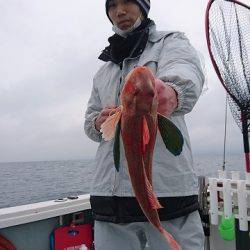 フィッシングボートACE(エース) 釣果