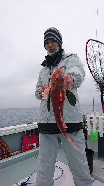 フィッシングボートACE(エース) 釣果