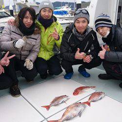 フィッシングボートACE(エース) 釣果